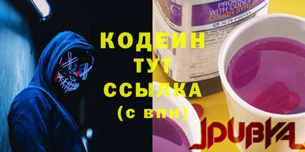 тгк Нея
