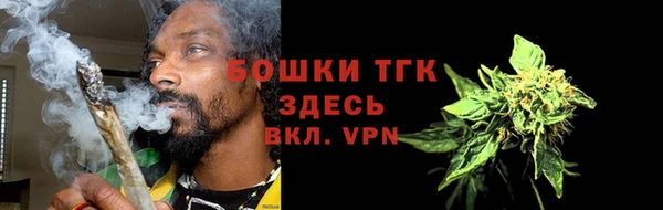 тгк Нея