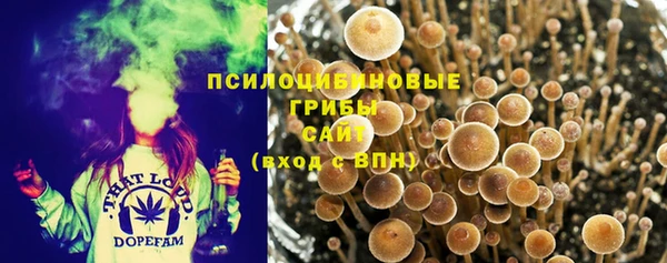 альфа пвп Нефтегорск