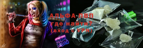 тгк Нея